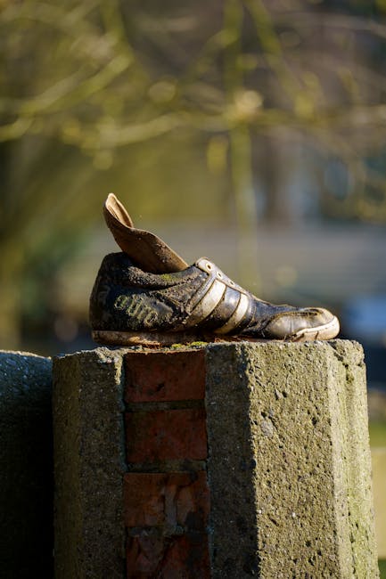 De schoen